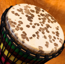 Djembe Trommel Fell