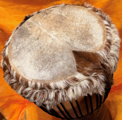 Djembe Trommel Fell